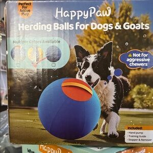 Blue and Orange Herding Ball for Dogs